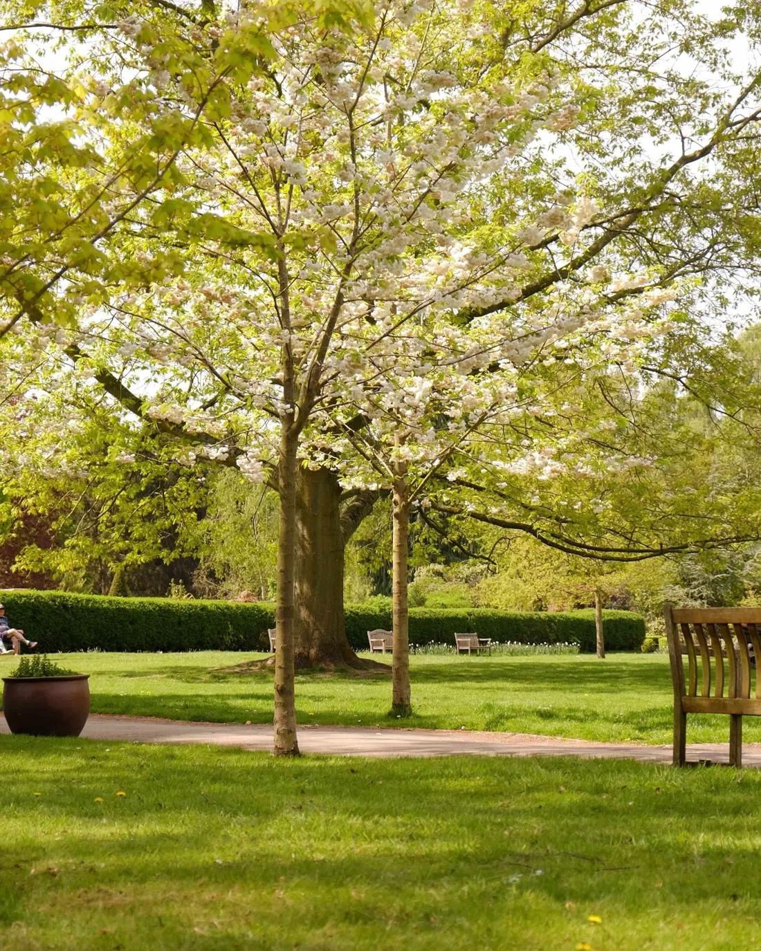 Homestead Park, York