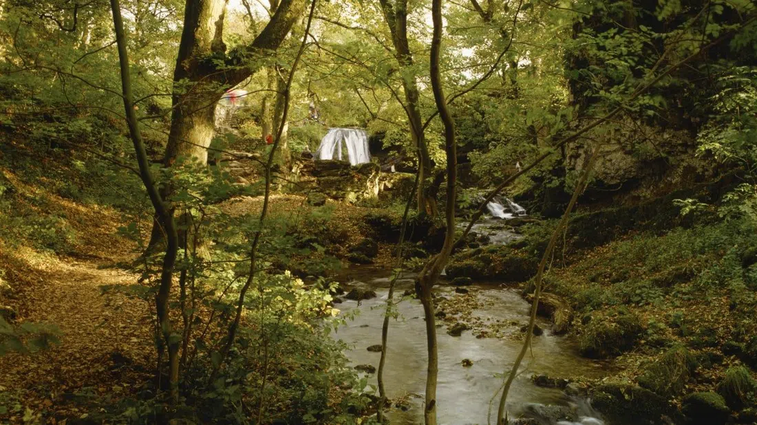 Janet's Foss, Malham, York