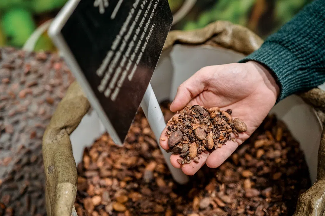 York's Chocolate Story, York